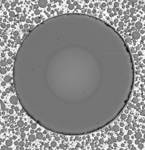 One Fiber of an MT12 Ferrule - Live View